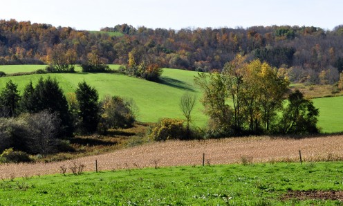 A valley in the Southern Missouri Ozarks