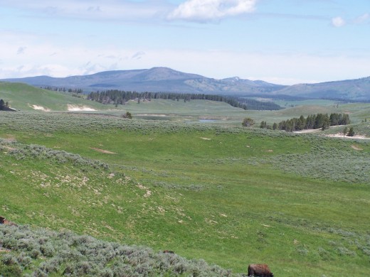The Wyoming countryside