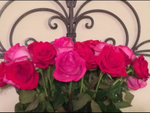 Roses are beautiful, but they are expensive, so consider knitting your Valentine's gift this year!