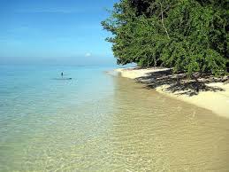 Beaches