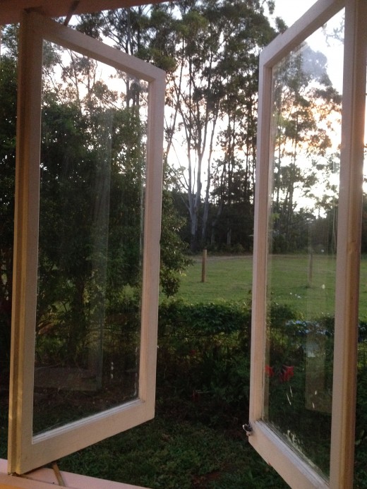 Out the kitchen window