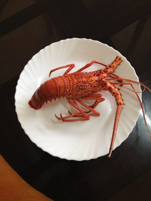 Freshly cooked lobster