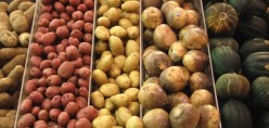 Nutritious Potatoes
