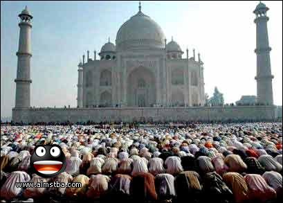 Muslims Praying