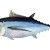 Albacore Tuna Albacore Tuna