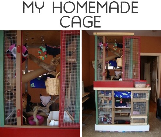 Rat Cages And Toys 49