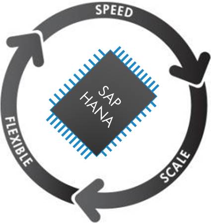 SAP HANA for Speed, Flexibility and Scale