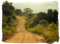 The road between the farms