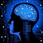 psychosomatic profile image
