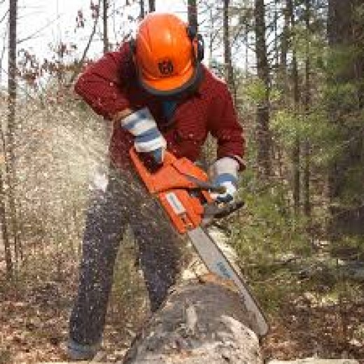 4 Things to Know Before Operating a Chainsaw hubpages