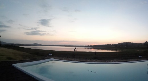 Swimming pool at Bison Resor- Kabini