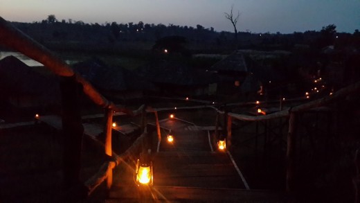 Bison Resort at Night