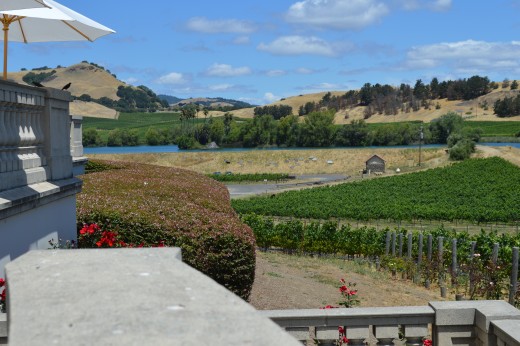View from Domaine Carneros