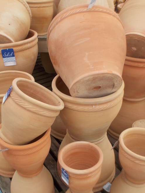 Pots are practical for paved areas