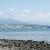 Burrard Inlet, bull kelp bobbing in the ocean and rockweed on the beach Burrard Inlet, bull kelp bobbing in the ocean and rockweed on the beach