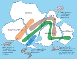 The Pangaea Theory.