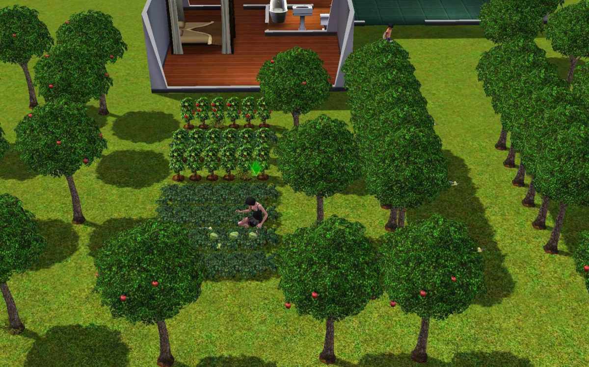 How To Complete Your Gardening Skill 3 Easy And Quick