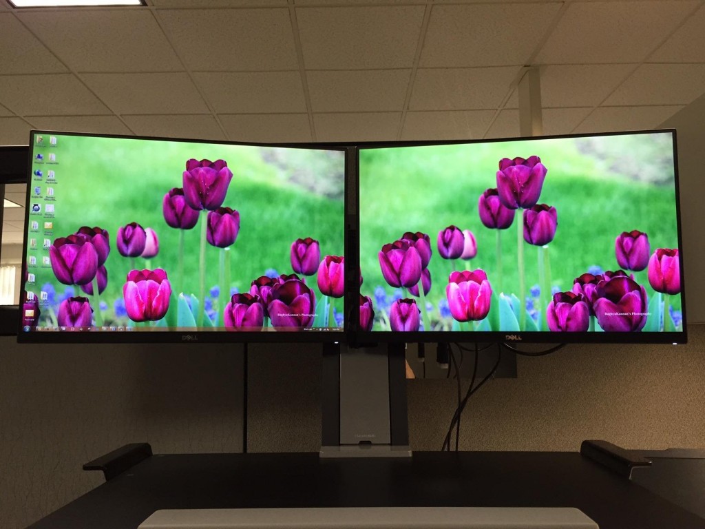 Best Under 500 Budget Photo and Video Editing Monitor 2017 TurboFuture