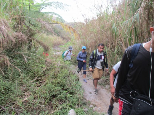 The trail is rather straightforward.