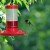 The Hummingbird: Folklore, Symbolism and Spirit Guide