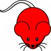 redmouse profile image