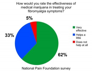 National Pain Foundation Survey Results