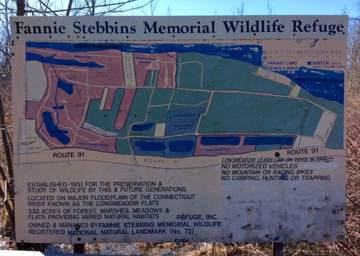 Hiking in the Fannie Stebbins Memorial Wildlife Refuge - Longmeadow, Massachusetts