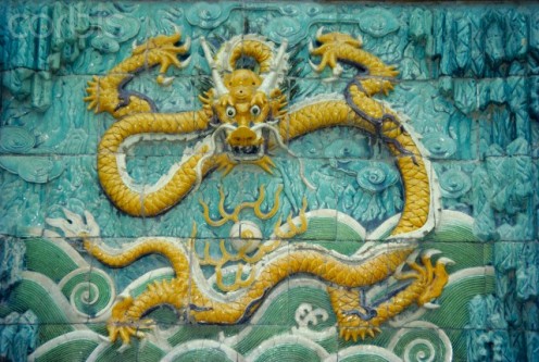 Dragon's litter with snakes in sight.