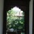 300 years and still going. Beautiful Indian window frame reflecting the garden. 300 years and still going. Beautiful Indian window frame reflecting the garden.