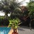 Pool bliss Pool bliss
