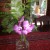 Table decoration. Table decoration.