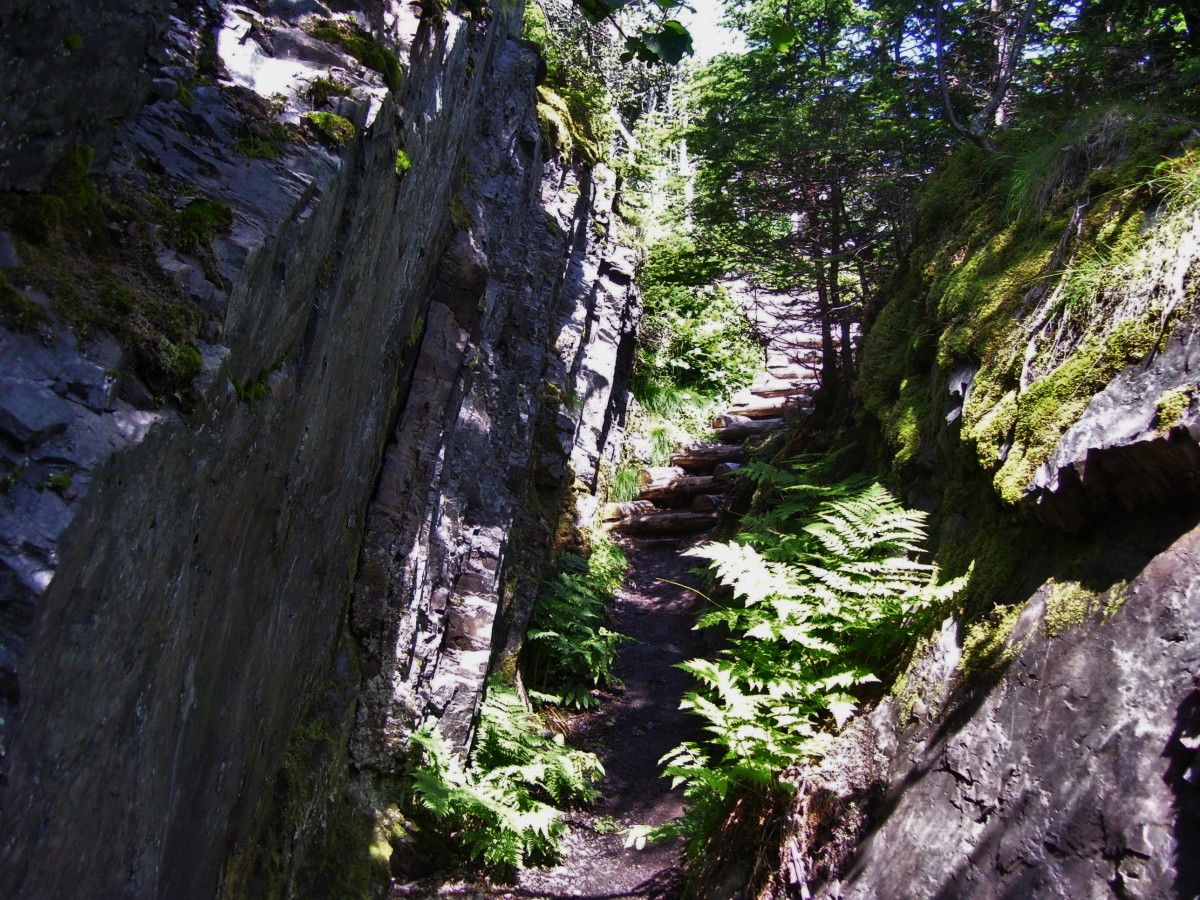 Stairs built into the trail to assist the hiker with the steep slope. An example of the vertical bedrock layers can be seen along the side of the trail.