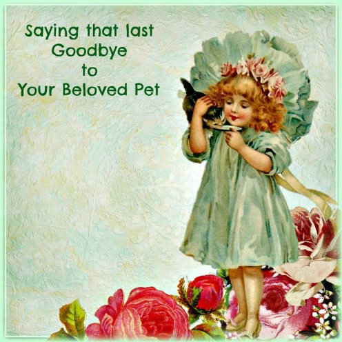 Put Your Pet First When It's Time to Say That Last Goodbye Put Your Pet First When It's Time to Say That Last Goodbye