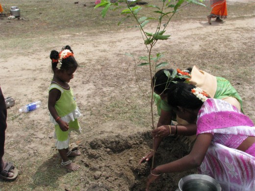 Planting a tree in India.