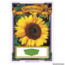 Seed packets will have planting instructions printed on the back side.