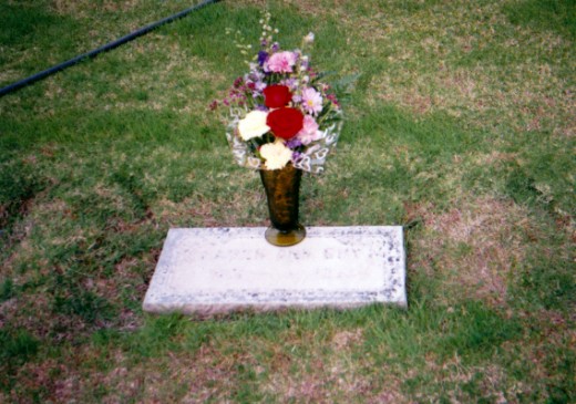 A picture taken when I visited California over 20 years ago.  There was no tree nearby. 