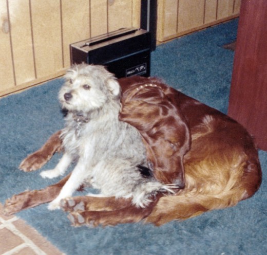Gypsy and Monaghan.  They were characters. 