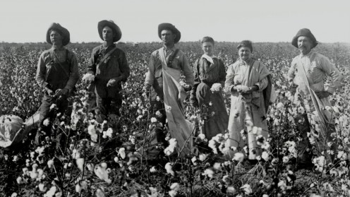 Invention of the cotton gin  created a big  economic boom in the early lives of American farmers.