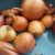 Start with ordinary onions Start with ordinary onions