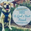wonderdoggear profile image