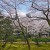 Mid afternoon serenity at Kanazawa's Kenrokuen. Mid afternoon serenity at Kanazawa's Kenrokuen.