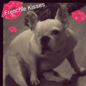 Frenchie Kisses profile image