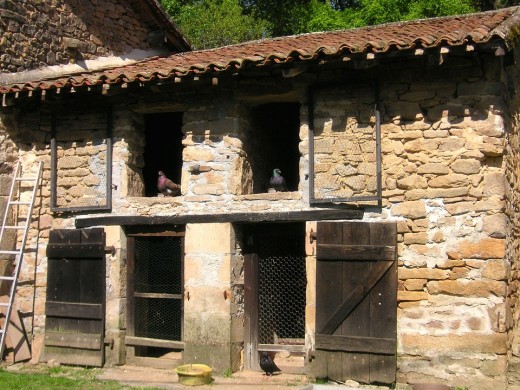 Photo of French Pigeon House by Pixabay