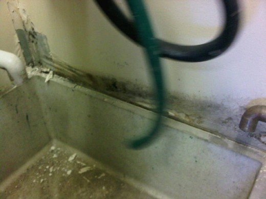Drywall was installed above the mop sink.  Being a wet area, plastic or FRP should have been securely installed as there will always be splashed and water overflow.