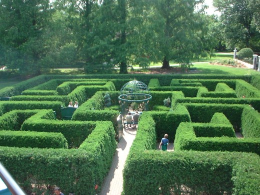 You can enjoy the funny experience of getting lost at these Botanical Gardens, located in St.Louis, Missouri.
