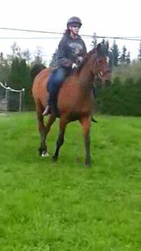 This is me riding literally moments before I fell (sorry for the poor quality, the picture was taken with a bad camera.) 