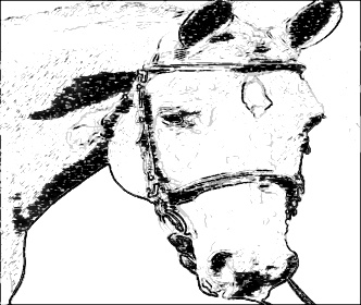 A sketch photo created with the P2P