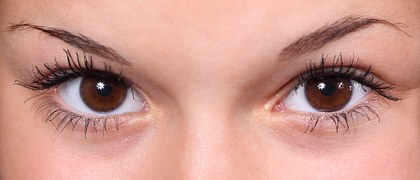 Hypnotic eyes.