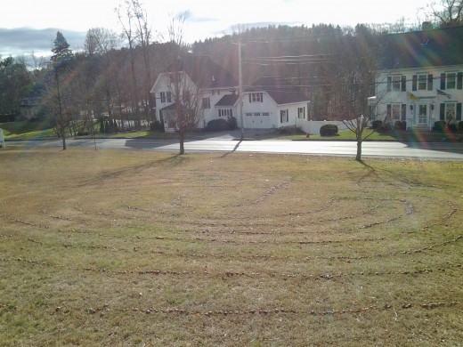 Classical 7-circuit labyrinth made of crab apples on the lawn of the Northborough, Massachusetts UU church.
