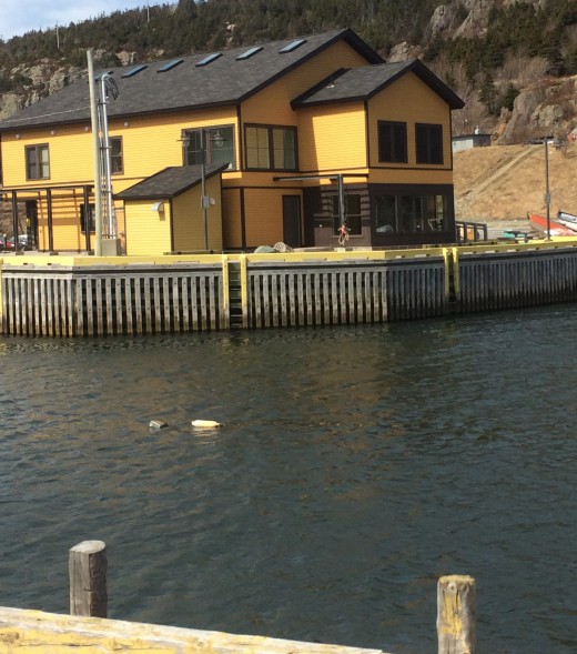 Historic Quidi Vidi Plantation, home to many local artisans, across from the parking lot of Mallard Cottage